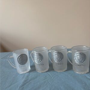 Cancun Frosted Glass Mugs with Silver Accents